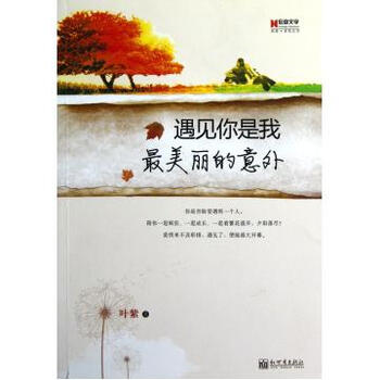 遇见你是我最美丽的意外
