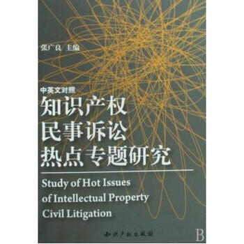 知识产权民事诉讼热点专题研究中英文对照
