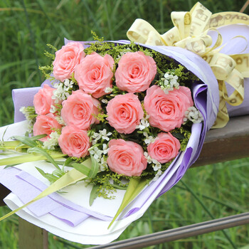 花之苑粉玫瑰花束鲜花快递北京 生日南京成都