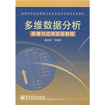 高等学校信息管理与信息系统专业系列实验教材