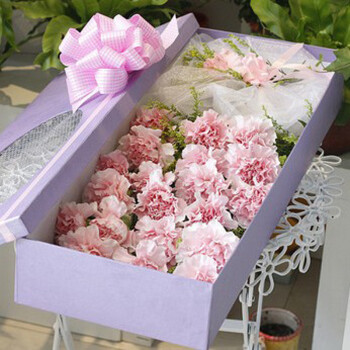 康乃馨花束 母亲节鲜花预定上海武汉广州鲜花