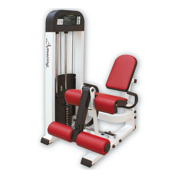 阿美神AMA-304前踢腿训练机 肌肉训练健身房