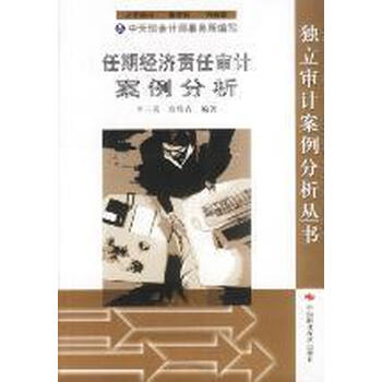 任期经济责任审计案例分析(第三版)