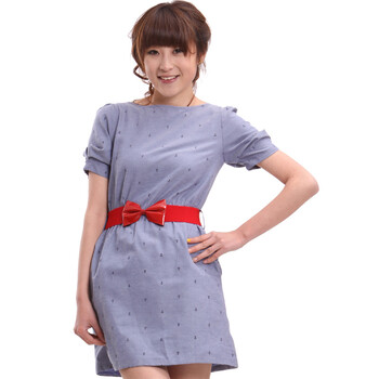 瑞卡依 ranzukiy 连衣裙 2012夏装新款女装 蝴蝶结腰带修身 夏季短袖裙子 灰色 L