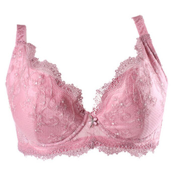 迪芬娜DIVONA专柜正品 复古风聚拢<em>舒适</em>透气内