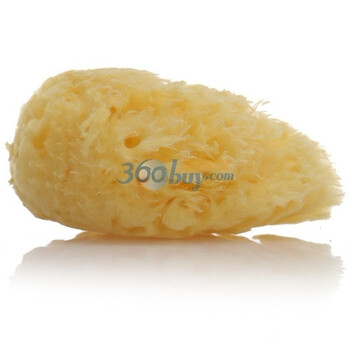 NUK天然海洋沐浴美容海棉(大) 251.706T