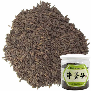 牛蒡子 6罐×200g