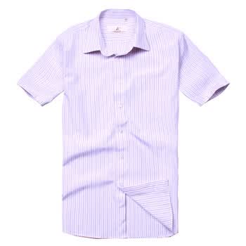 稻草人男装 2012夏季新品 商务休闲条纹短袖衬衫FH966666 紫罗兰 44