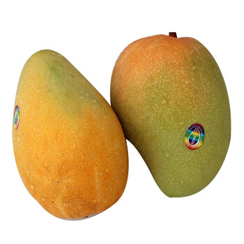 国产澳芒3.0kg