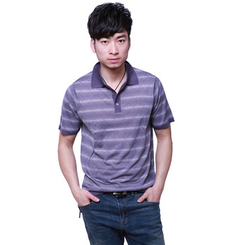 LUIS男装 夏季新款短袖T恤 高档桑蚕丝POLO衫 时尚休闲L12MTH01PP 紫色 XXL