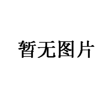 2012夏装新款女装连衣裙韩版休闲连衣裙两件套装连衣裙大码039535L 珊瑚粉 XL