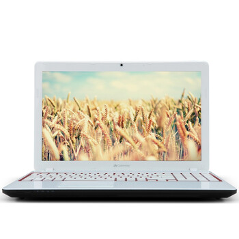 Gateway NV52L07c 15.6英寸笔记本电脑（A6-4400M 4G 500G HD7670M 1G独显 USB3.0 摄像头 Linux）红