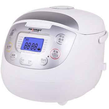 鸿智（hallsmart） HR-FY403 4L 豪华液晶版电脑方煲（灰色）