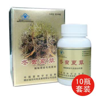 【瑞东】冬虫夏草胶囊460mg×60粒/瓶（十盒套装）