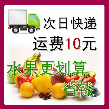 次日快递 运费10元