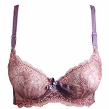 艾美熙 竹炭刺绣 聚拢调整型<em>文胸</em> 8969 紫色 3