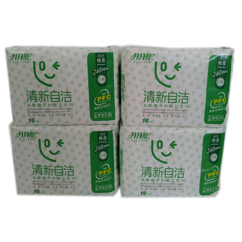 清新自洁棉柔纤巧240日用16片*4包