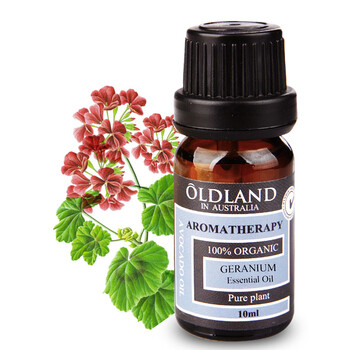 OLDLAND欧丹兰 单方 天竺葵精油 10ML 补水 按摩排毒 养颜