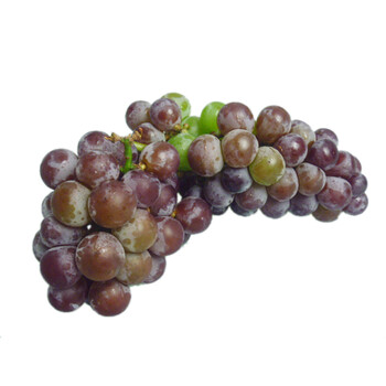 大号巨峰葡萄 净重约1kg