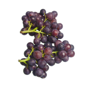巨玫瑰葡萄 净重约2kg
