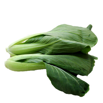 供港蔬菜 小唐菜仔 4斤/箱 2kg