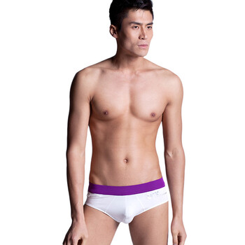 Hb2012新款正品 男士纯棉性感吸汗三角内裤男款三角裤全棉男裤 白色 紫边 L