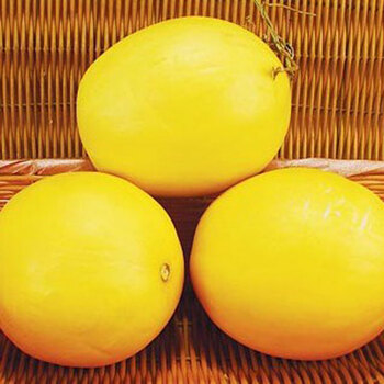 新疆伊丽莎白瓜 （约8斤/箱） 新鲜水果 广州地区特供