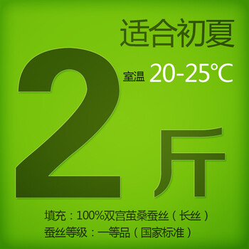 钱皇正品 100%桑蚕丝被桐乡手工被芯/子春/冬被 单/双人 爱尚 斜纹 蚕丝净重2斤 220x240cm