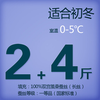 钱皇正品 100%桑蚕丝被桐乡手工被芯/子春/冬被 单/双人子母被 爱尚 斜纹 蚕丝净重2+4斤 220x240cm