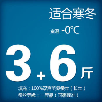 钱皇正品 100%桑蚕丝被桐乡手工被芯/子春/冬被 单/双人子母被 爱尚 斜纹 蚕丝净重3+6斤 220x240cm