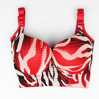 整<em>文胸</em>+红色+<em>70c</em>