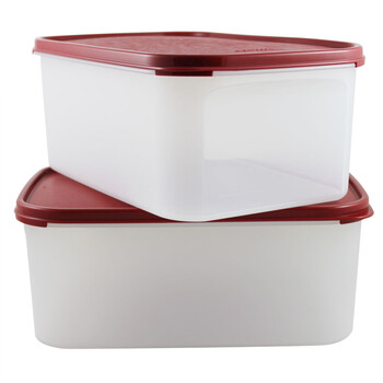 特百惠Tupperware MM长方2号2件套 干货储藏保鲜盒 4.3L每个