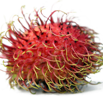 【东方朝晖】泰国进口精品红毛丹 毛荔枝(1箱