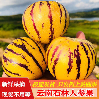 京东生鲜 新鲜人参果现摘现发 5斤特大果食品类商品-全利兔-实时优惠快报