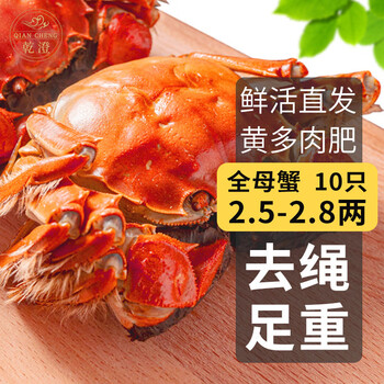 乾澄 大闸蟹现货 全母2.5-2.8两10只全利兔-实时优惠快报