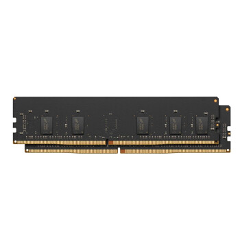 Apple 16GB (2x8GB) DDR4 ECC 2933MHz R-DIMM 内存套件 内存条 适用于 Mac Pro 2019