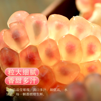 羊角鲜人 云南薄皮甜石榴 实惠装带箱 5斤 单果150g+食品类商品-全利兔-实时优惠快报