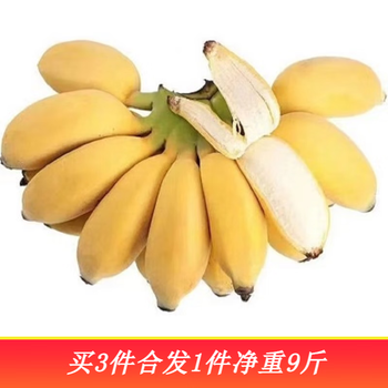 京东百亿补贴:果佳玖 广西小米蕉3斤全利兔-实时优惠快报