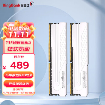 金百达（KINGBANK）32GB(16GBX2) 套装  DDR4 3200 台式机内存条 银爵系列