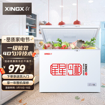 星星（XINGX） 219升 商用家用单温单箱冰柜 冷藏冷冻转换冷柜 顶开门冰箱 BD/BC-219E