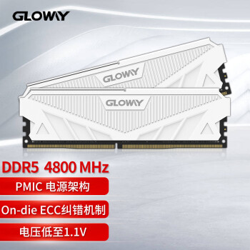 光威（Gloway）32GB(16Gx2)套装 DDR5 4800 台式机内存 天策系列-皓月白