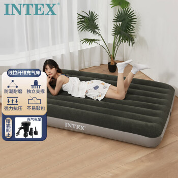 INTEX  ˫۵洲˯ (ɫ)64108