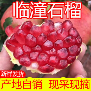 陕西临潼石榴新鲜水果西安特产大红石榴香甜多汁不是突尼斯软籽12枚5