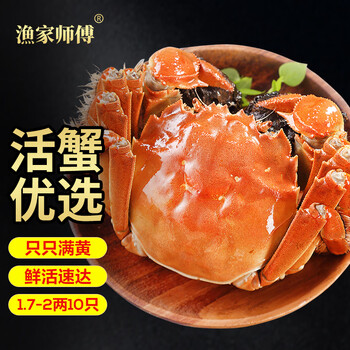 【活蟹】漁家师傅大闸蟹六月黄1.7-2两10只去绳足重鲜活螃蟹现货生鲜水产海鲜礼盒