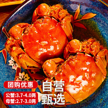 圣堂名钳 大闸蟹 公3.7-4.0两 母2.7-3.0两 6只食品类商品-全利兔-实时优惠快报