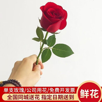 来一客 鲜花速递公司活动用花团购全国同城配送单支玫瑰（10支起拍） 单支玫瑰（10支起送）全利兔-实时优惠快报