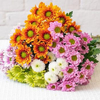 云选花礼 混色小菊 5枝全利兔-实时优惠快报