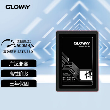 光威（Gloway）256GB SSD固态硬盘｜SATA6Gb/s接口｜悍将系列-高速版