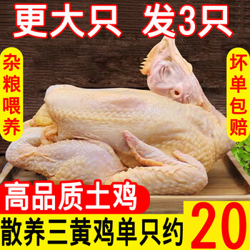王氏正德 鸡 鸡肉生鲜 三黄鸡3只 农家散养土鸡童子鸡新鲜冷冻白条鸡 三黄鸡约850g*3只食品类商品-全利兔-实时优惠快报