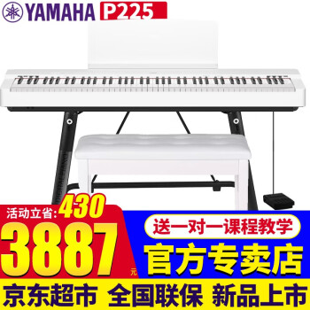 YAMAHAP125P225ٳ˶ͯ88شѧ߼ϰӸ  P225ɫ+U+̤+ȫ